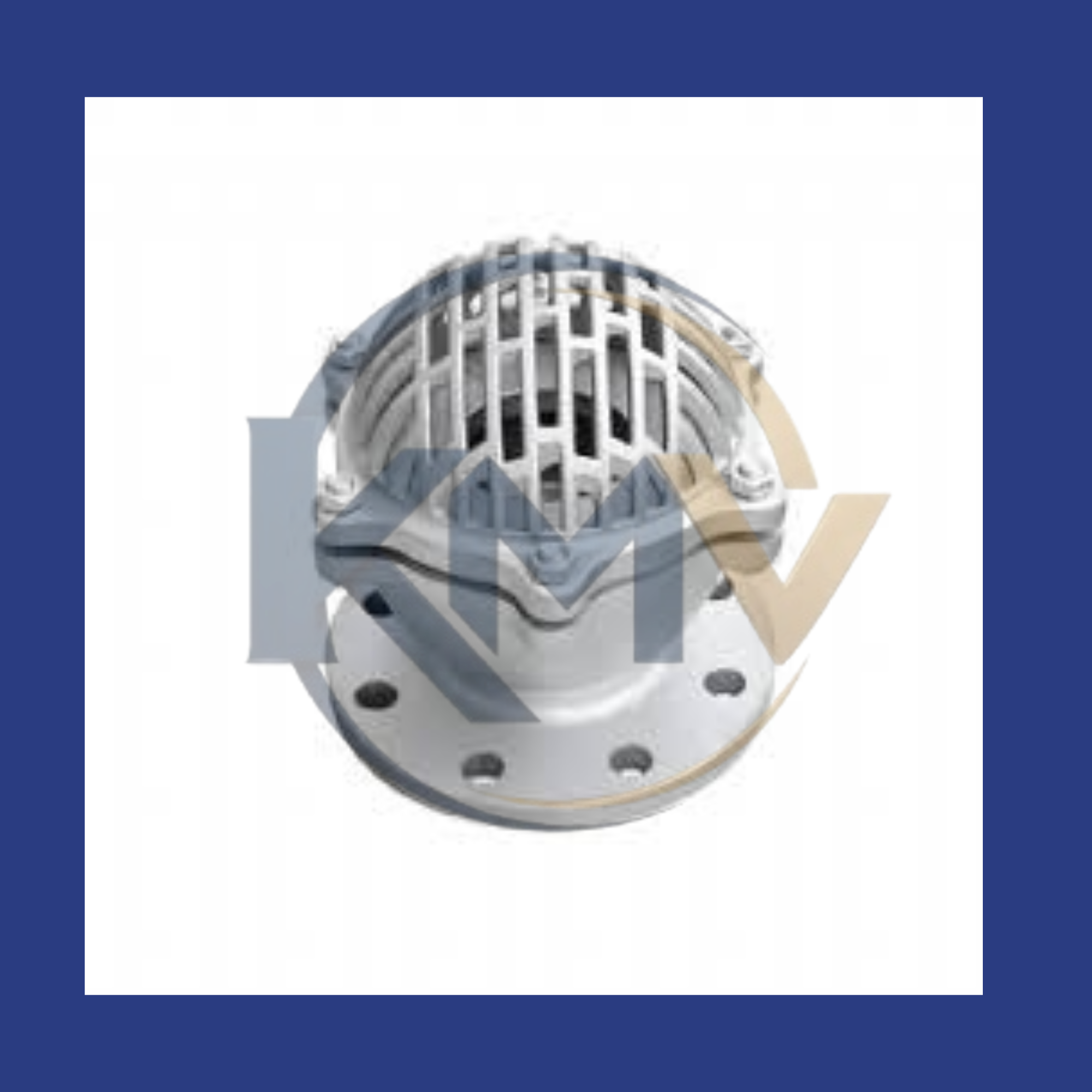Stainless Steel Foot Valve